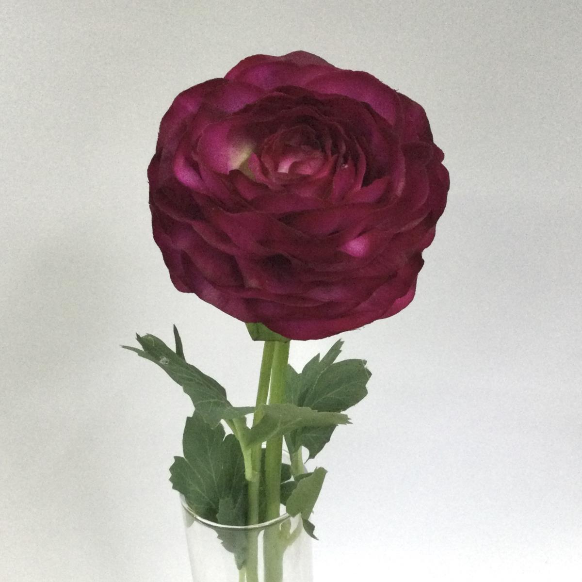 Ветка ранункулюса свекольная 45см - Зображення 3