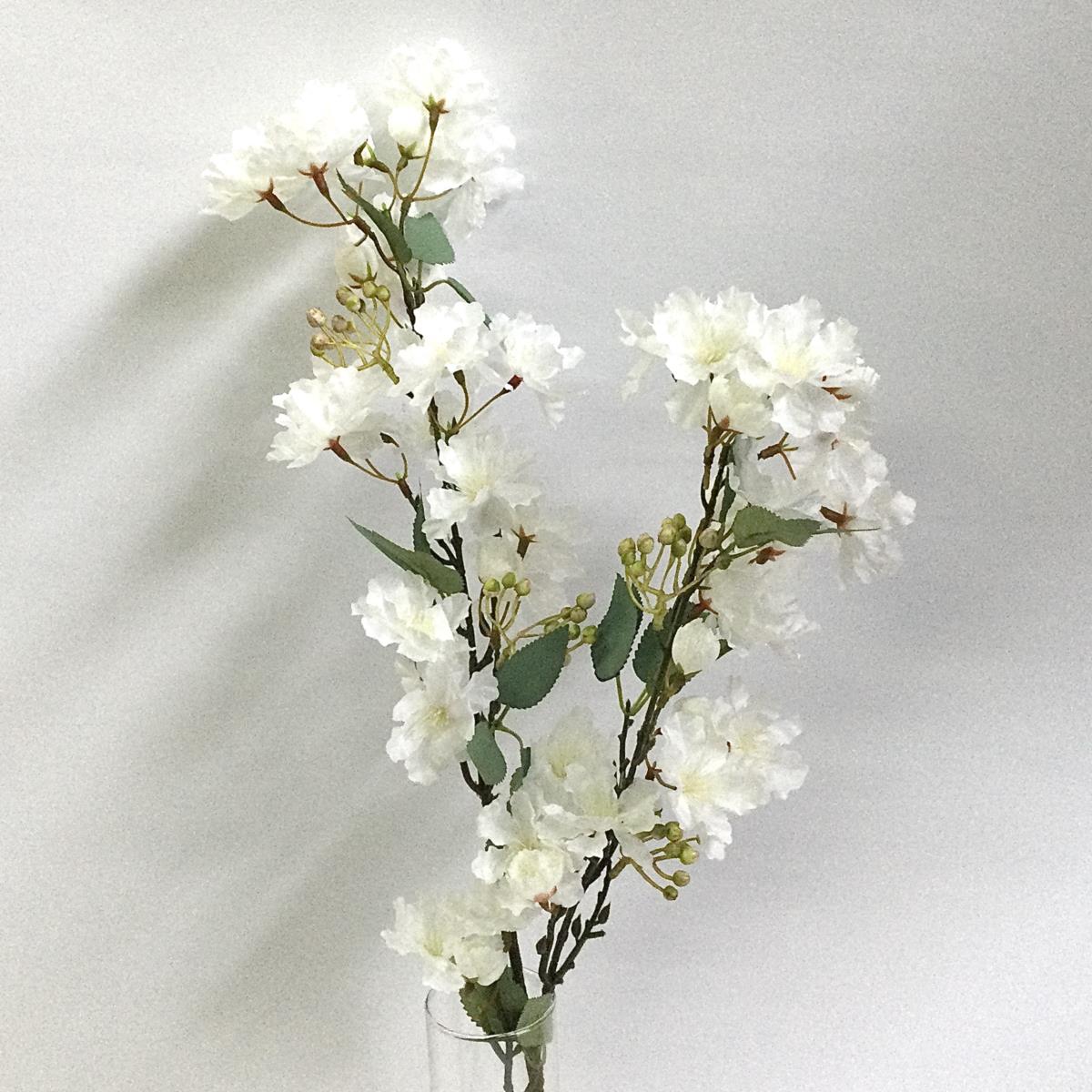 Ветка мирта белаЯ